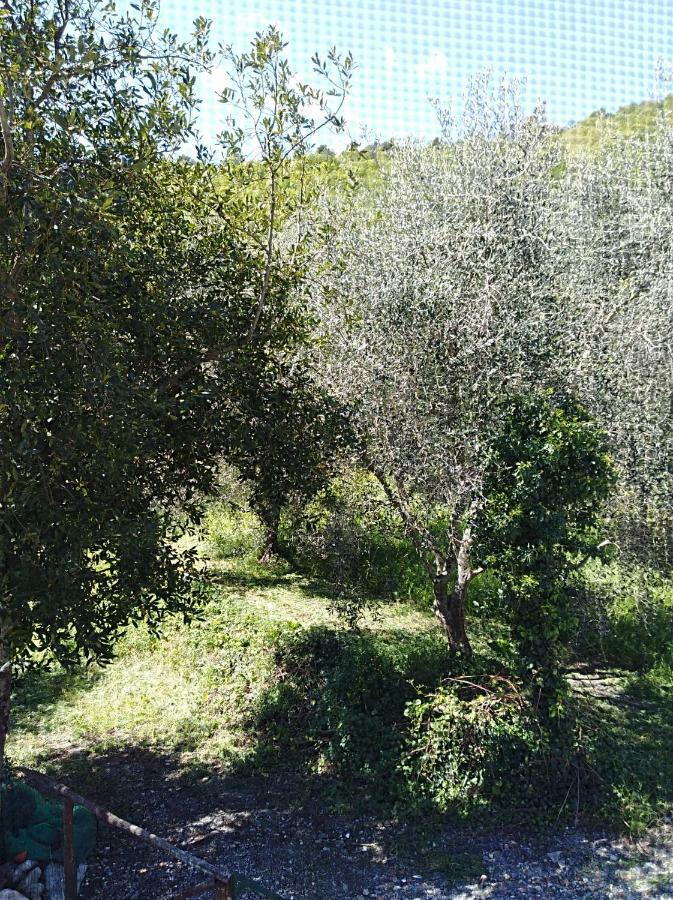 Ca' Do Diao Villa Onzo Bagian luar foto
